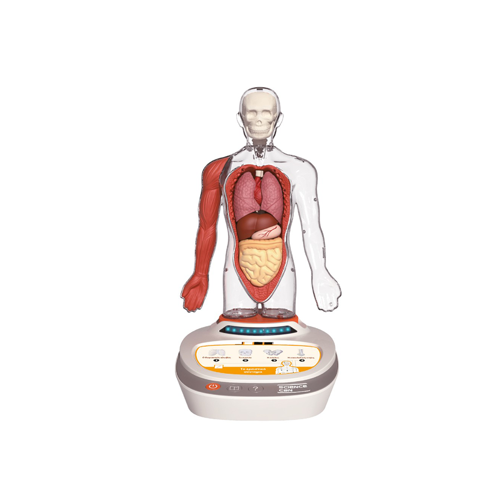 TOP BRIGHTTop Bright Εκπαιδευτικό Παιχνίδι Το Ανθρώπινο Σώμαpapell.gr